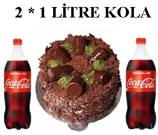 Muzlu Çikolatalı Pasta ve Çift Cola Avantaj Paketi Şanlıurfa pasta